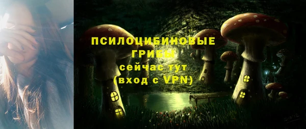 ECSTASY Алексеевка