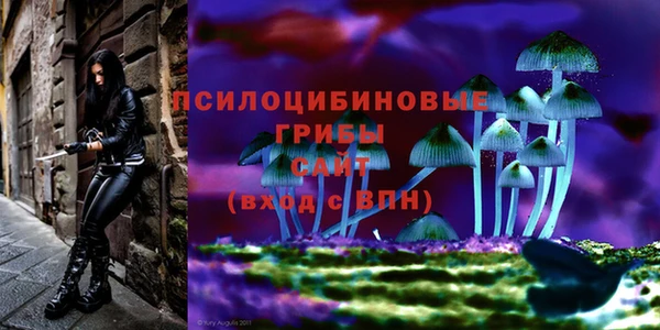 ECSTASY Алексеевка