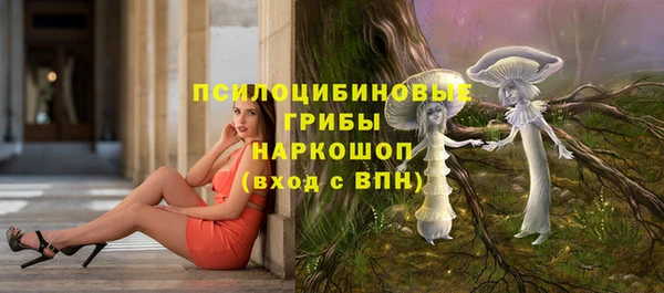 ECSTASY Алексеевка