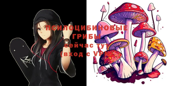 альфа пвп Армянск