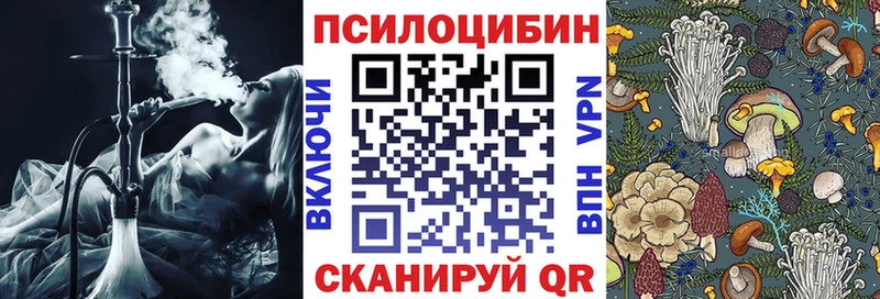 Галлюциногенные грибы Magic Shrooms  Купить где  Карасук 
